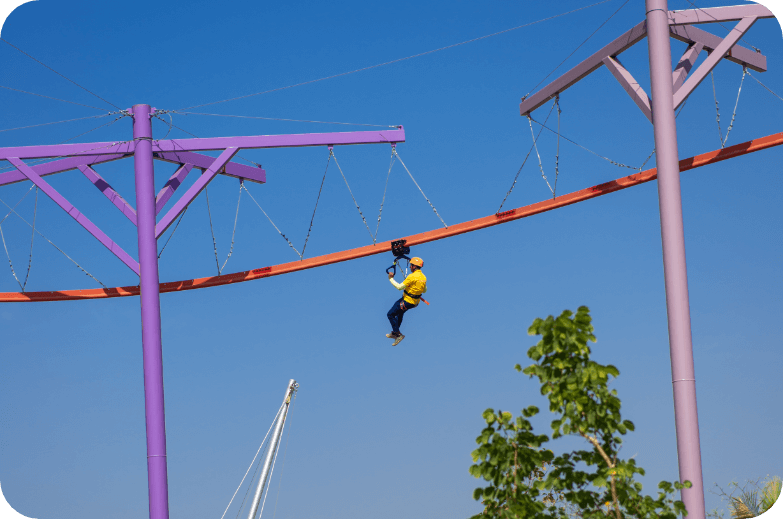 Roller Coaster Zipline