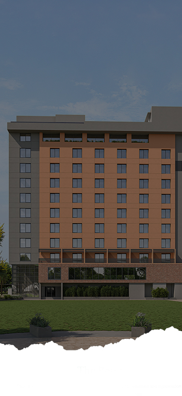 Building & Lawn