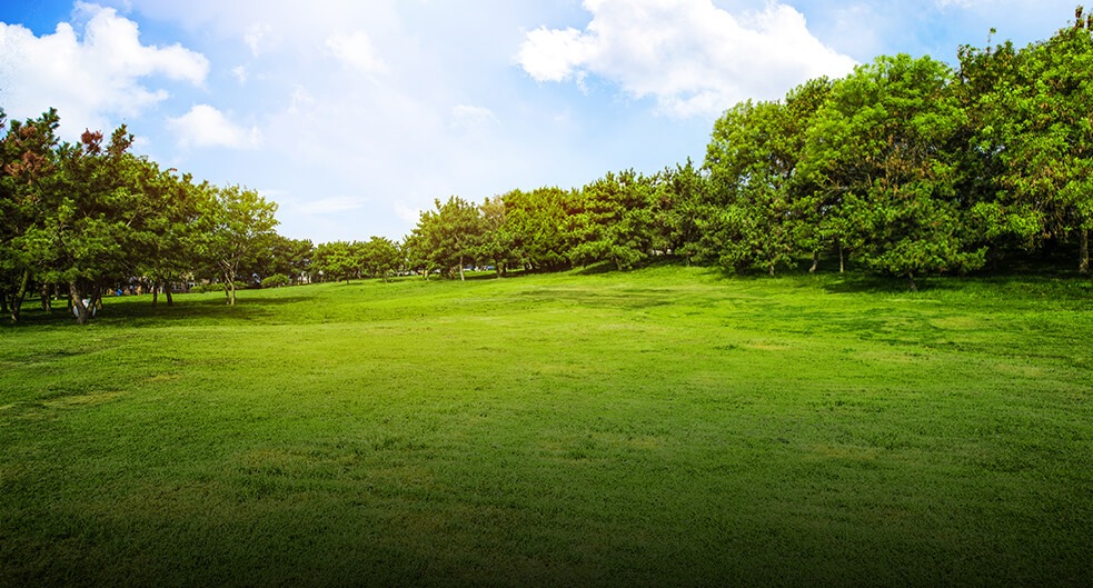 Necklace Lawn