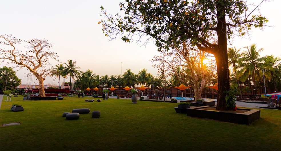 Infinity Pool Lawn