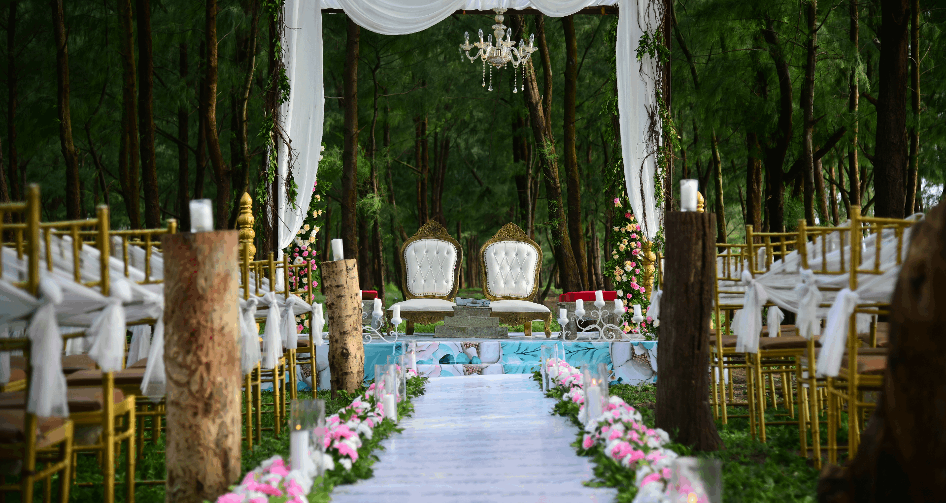 Magical Moments