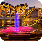 2Relish those magical moments with Treat Wedding