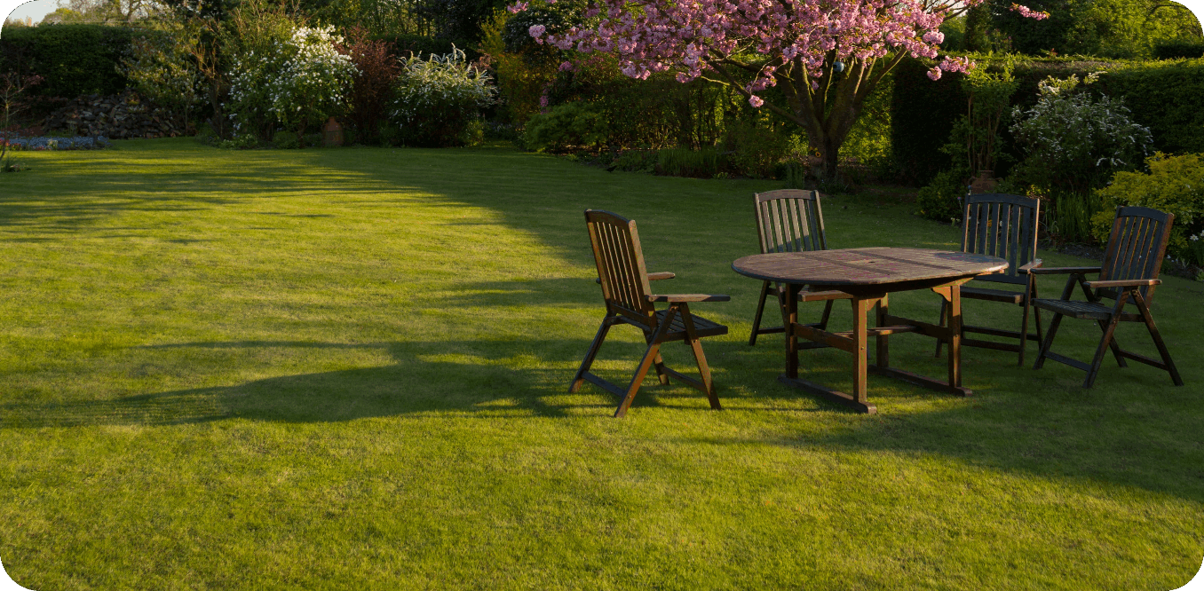 Necklace Lawn